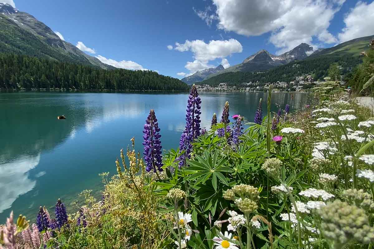 Lake St. Moritz l Picture: Roland Weiss WILCO AG CSR about our environmental responsibility